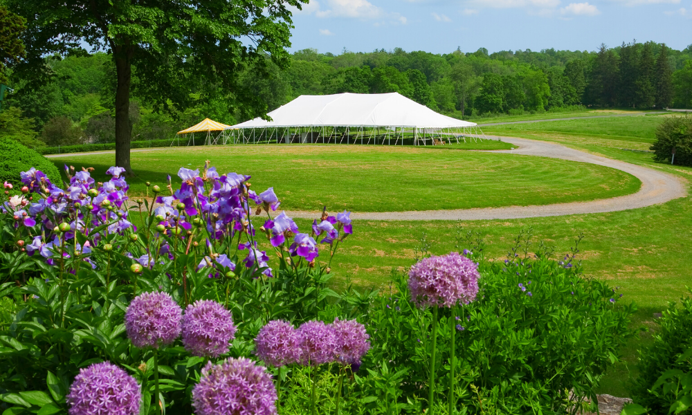 Joliet Tent | How to Weather-Proof Your Outdoor Event